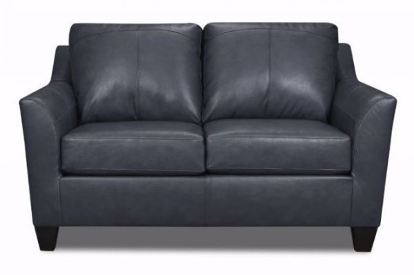 Picture of Shale Leather Match Loveseat