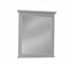 Picture of BONANZA LANDSCAPE MIRROR