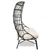 Picture of Black Metal Frame Egg Chair