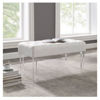 Picture of Ella Acrylic Leg Bench