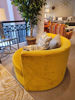 Picture of Gemini Swivel Roundabout Chair