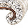 Picture of Chamberi Lynx Chaise