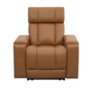 Picture of PHOENIX AUTUMN CARAMEL POWER RECLINER