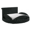 Picture of BRIGITTE BLACK CIRCLE KING STORAGE BED