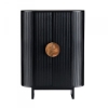 Picture of PALOMA BLACK TWO DOOR CABINET